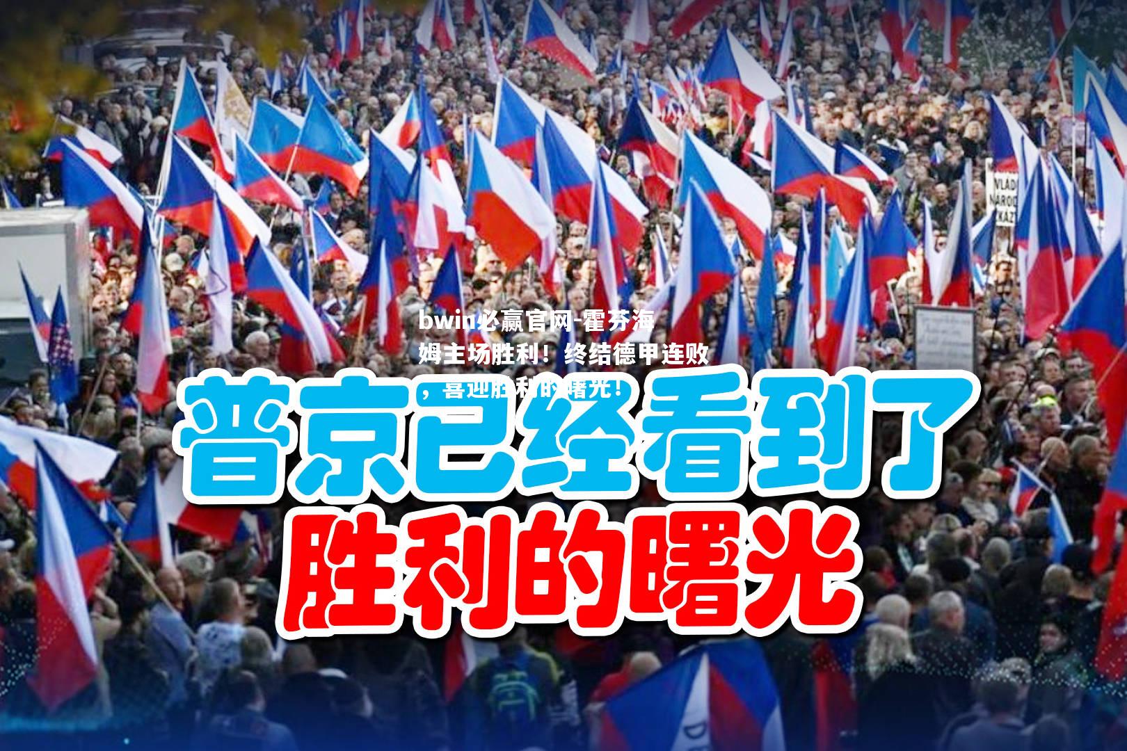 霍芬海姆主场胜利！终结德甲连败，喜迎胜利的曙光！