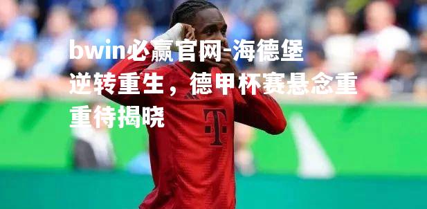 海德堡逆转重生，德甲杯赛悬念重重待揭晓