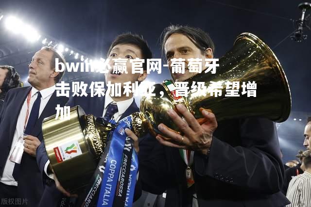 葡萄牙击败保加利亚，晋级希望增加