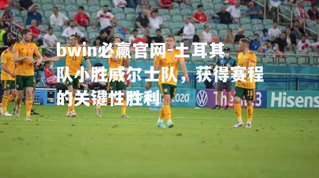 土耳其队小胜威尔士队，获得赛程的关键性胜利