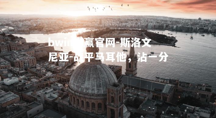 斯洛文尼亚-战平马耳他，沾一分