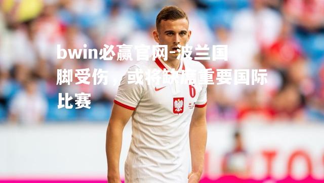 波兰国脚受伤，或将缺席重要国际比赛