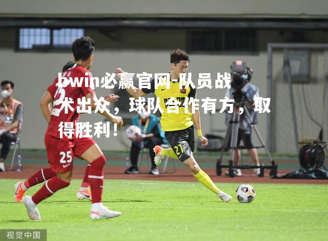队员战术出众，球队合作有方，取得胜利！