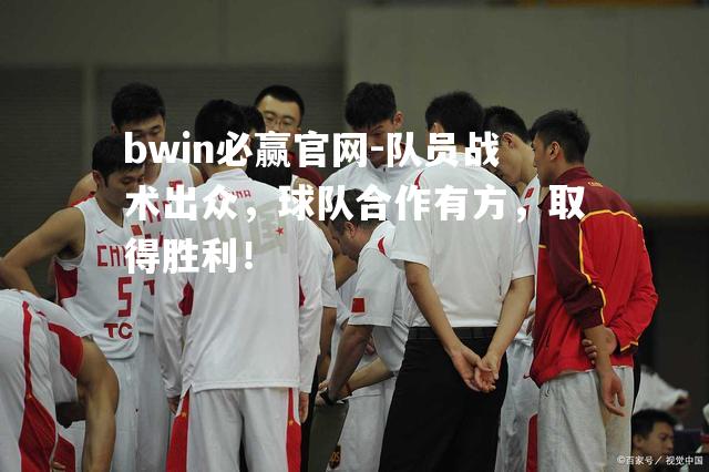 队员战术出众，球队合作有方，取得胜利！