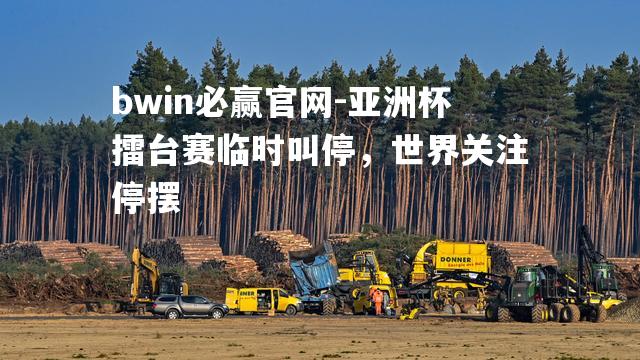 亚洲杯擂台赛临时叫停，世界关注停摆